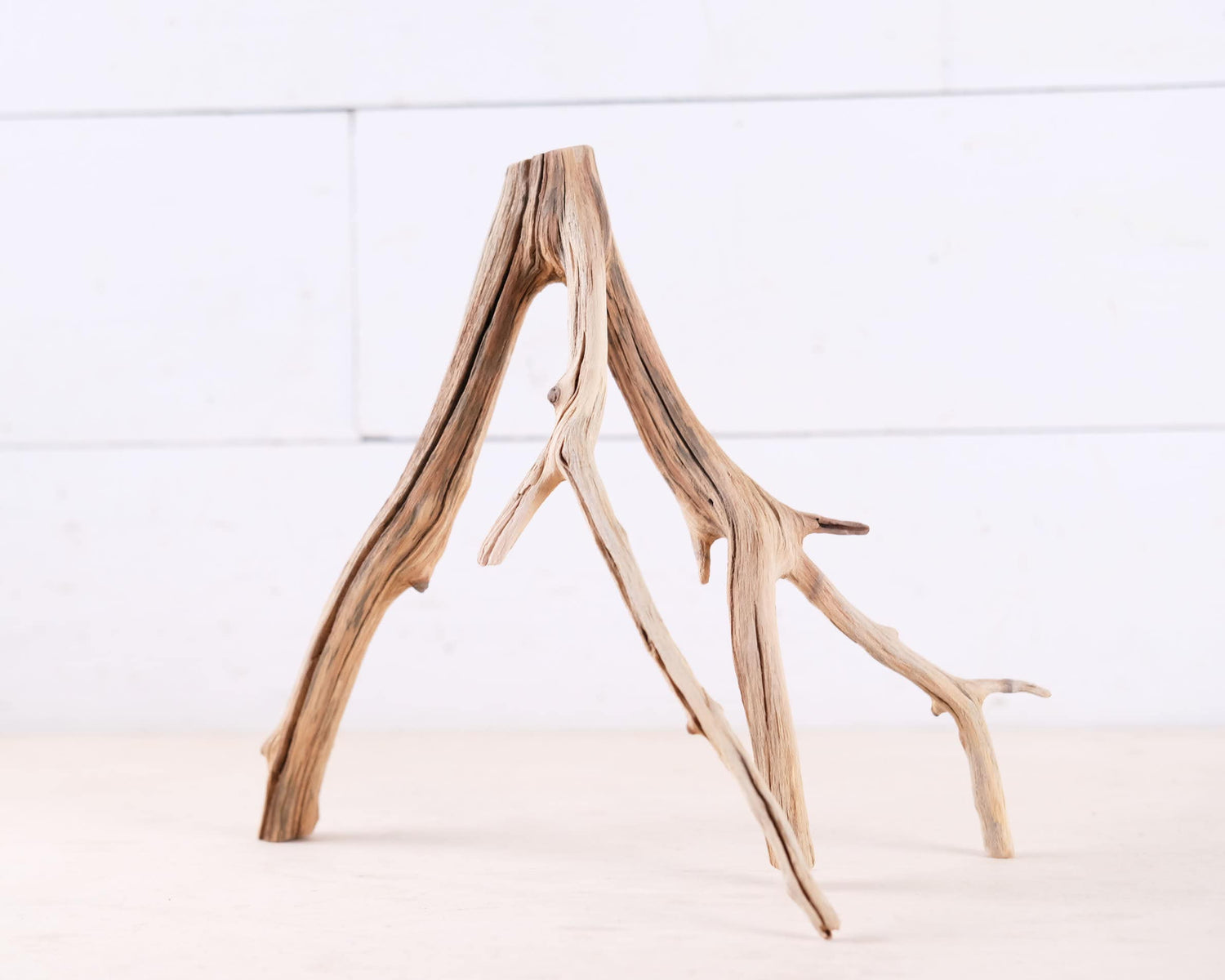 Manzanita 10" Branch, Small Aquascape Driftwood, Nano Aquarium Wood, Nanoscape Tank Decor, Real Fish Tank Wood