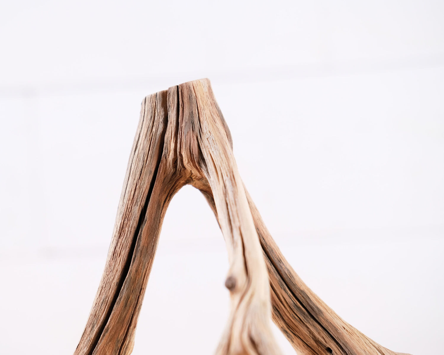 Manzanita 10" Branch, Small Aquascape Driftwood, Nano Aquarium Wood, Nanoscape Tank Decor, Real Fish Tank Wood