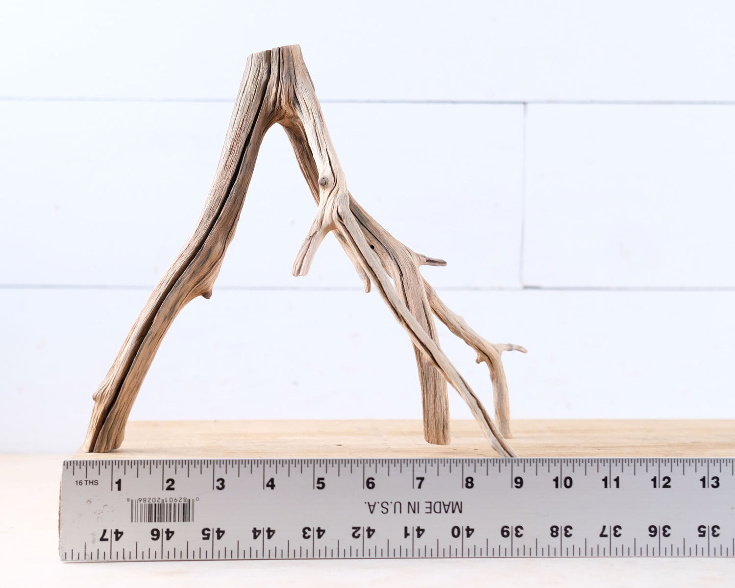 Manzanita 10" Branch, Small Aquascape Driftwood, Nano Aquarium Wood, Nanoscape Tank Decor, Real Fish Tank Wood