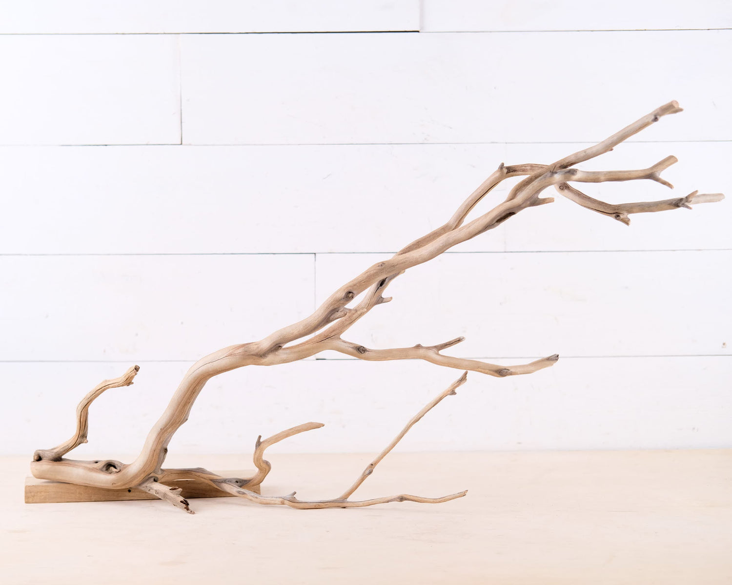 Manzanita 31" Branch, Large Aquarium Driftwood, Aquascape Centerpiece, Long Terrarium Branch, Chameleon Climb