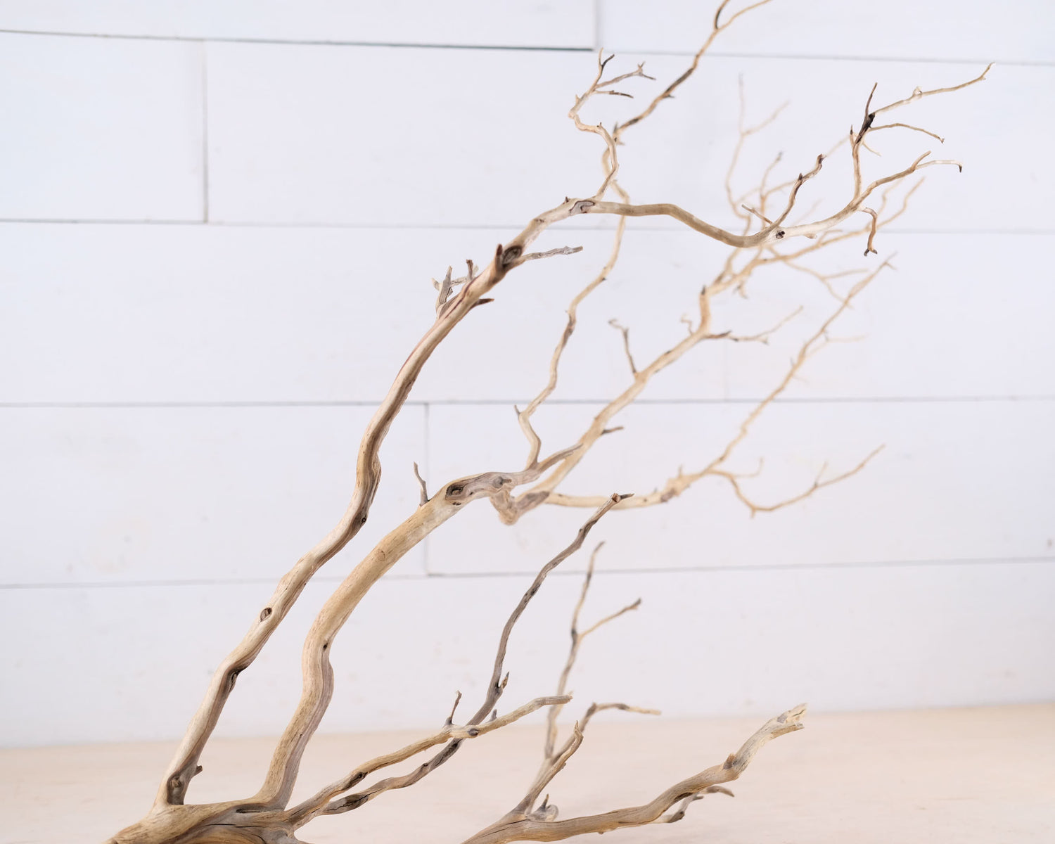 Manzanita 30" Branch, Large Aquarium Driftwood, Aquascape Centerpiece, Natural Fish Tank Decor