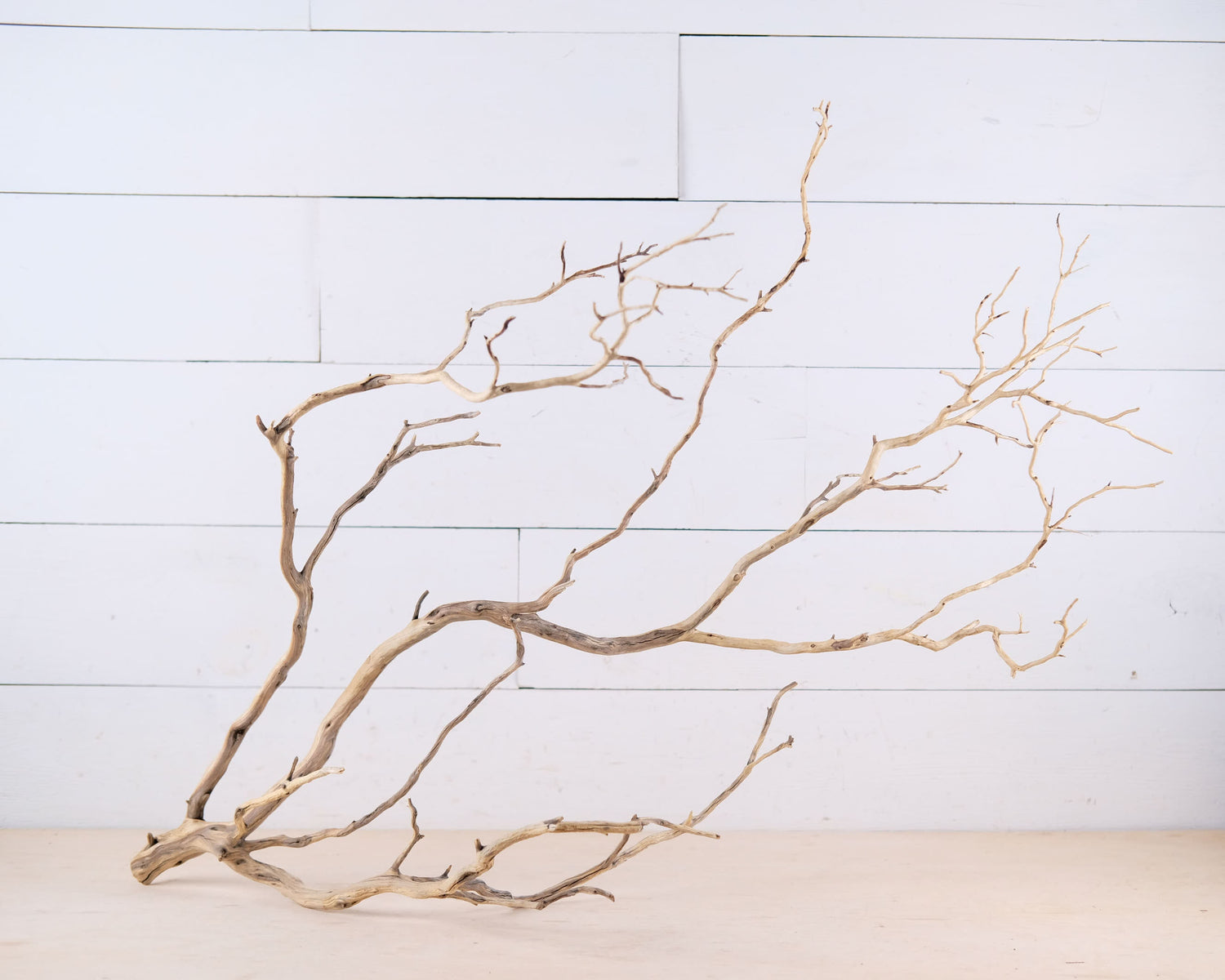 Manzanita 30" Branch, Large Aquarium Driftwood, Aquascape Centerpiece, Natural Fish Tank Decor