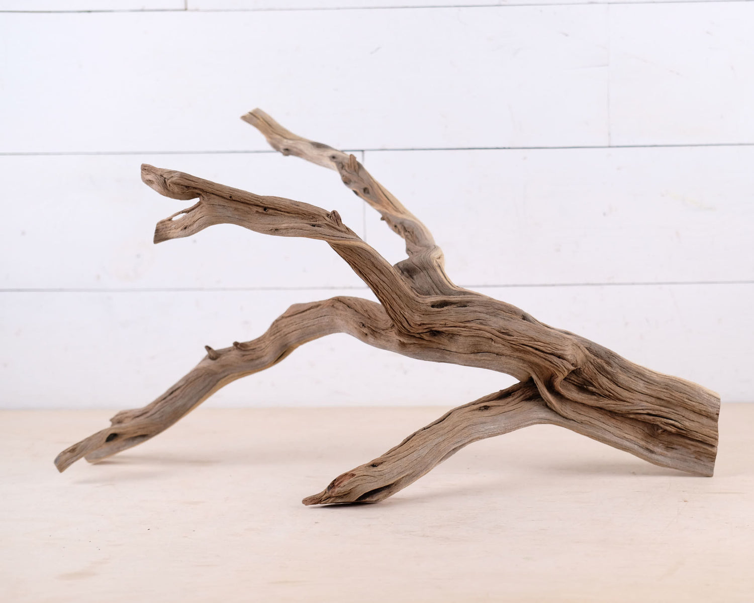 Manzanita 22" Driftwood, Aquarium Aquascape Branch, Natural Fish Tank Decor, Reptile Tank Wood, Terrarium Climb