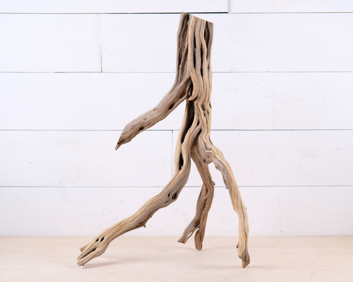 Manzanita 22" Driftwood, Aquarium Aquascape Branch, Natural Fish Tank Decor, Reptile Tank Wood, Terrarium Climb