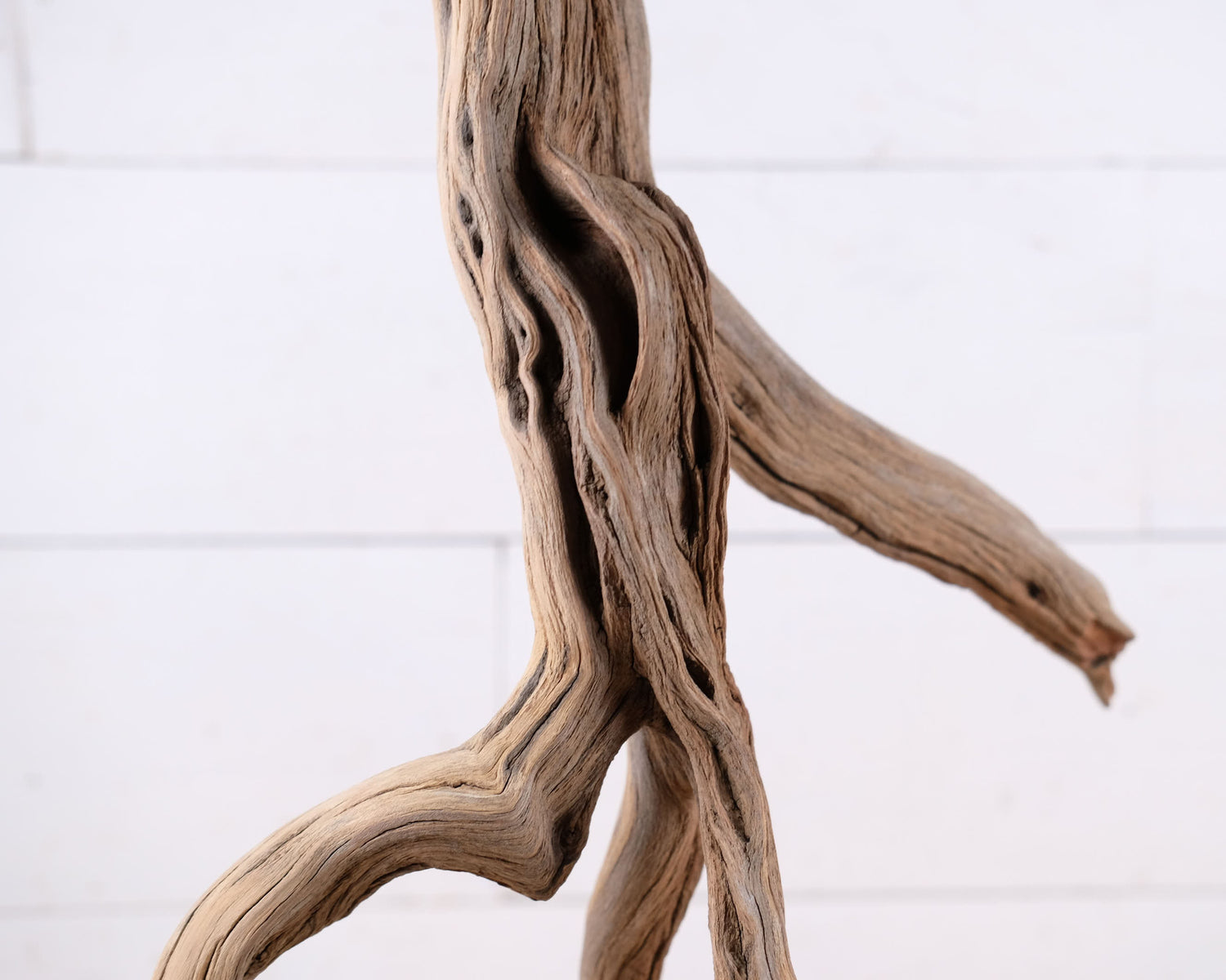 Manzanita 22" Driftwood, Aquarium Aquascape Branch, Natural Fish Tank Decor, Reptile Tank Wood, Terrarium Climb