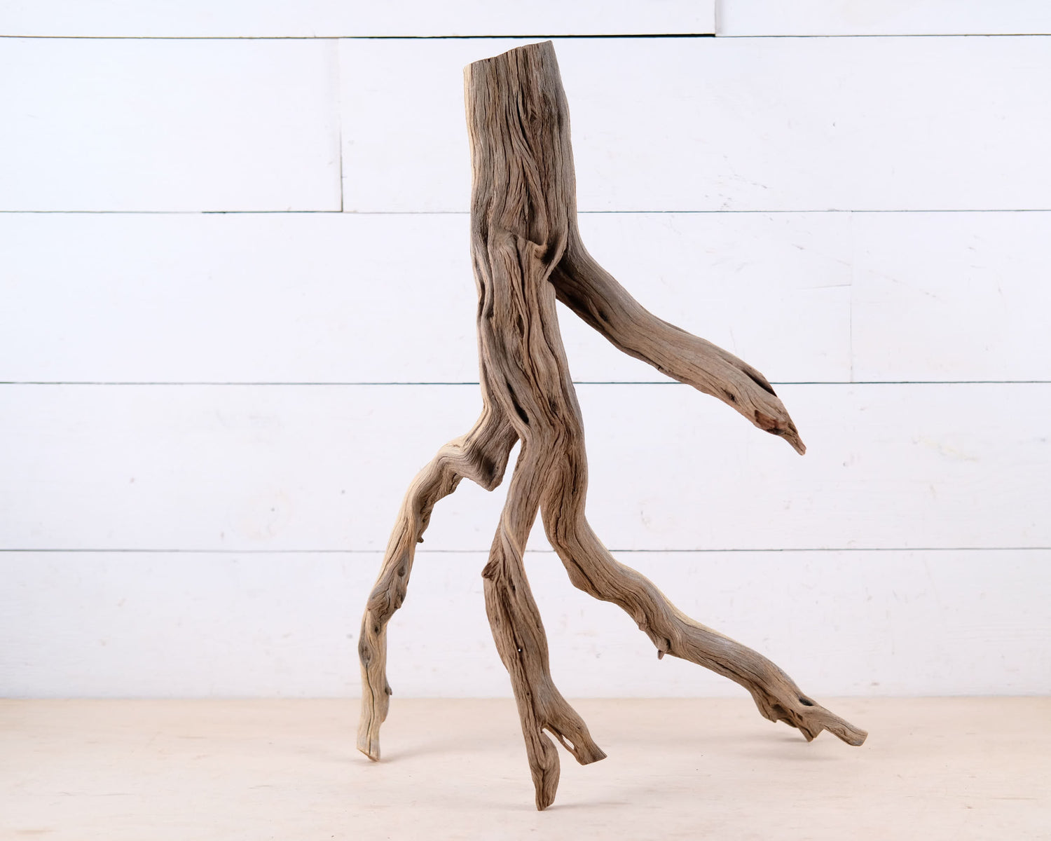 Manzanita 22" Driftwood, Aquarium Aquascape Branch, Natural Fish Tank Decor, Reptile Tank Wood, Terrarium Climb