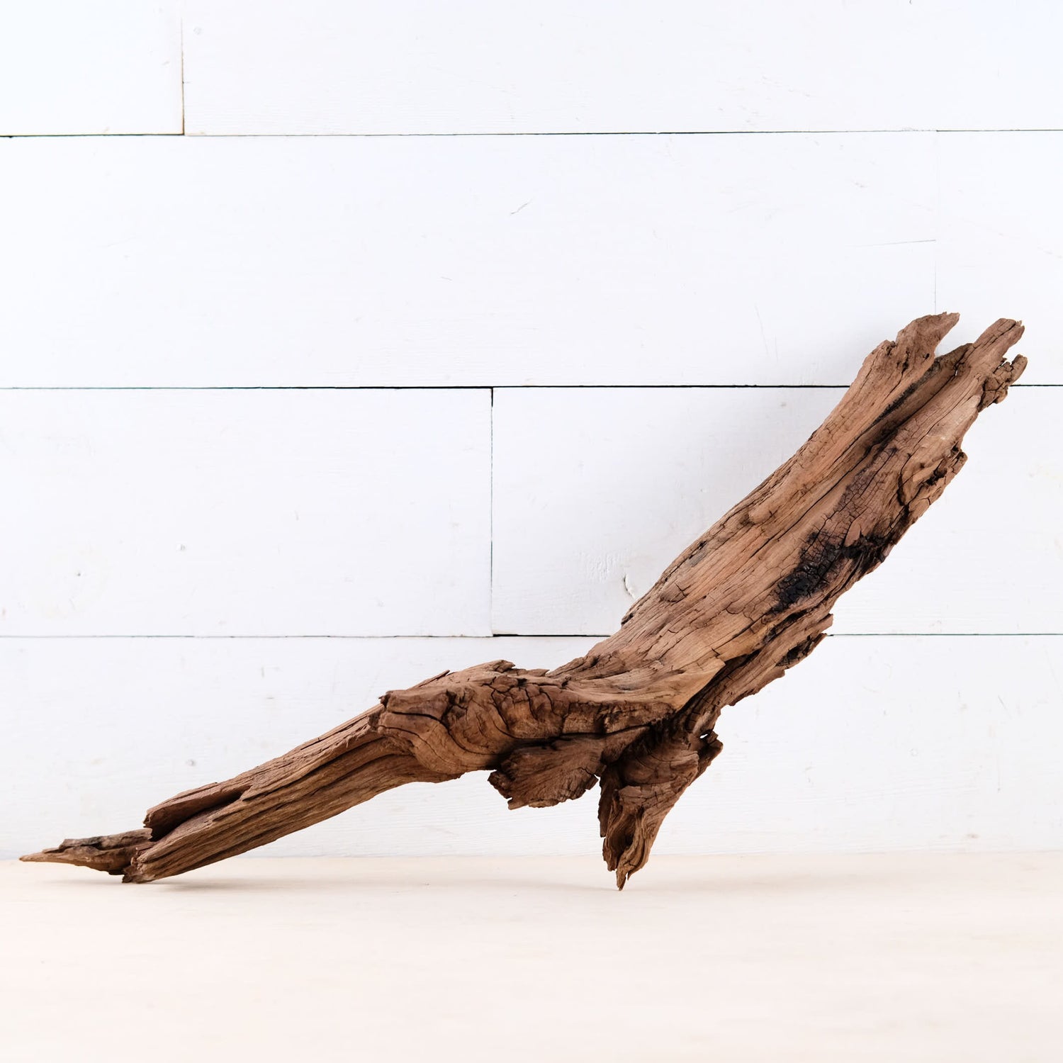 Manzanita 24" Driftwood Root, Rugged Aquarium Wood, Natural Fish Tank Decor, Shrimp Tank Enrichment, Reptile Perch