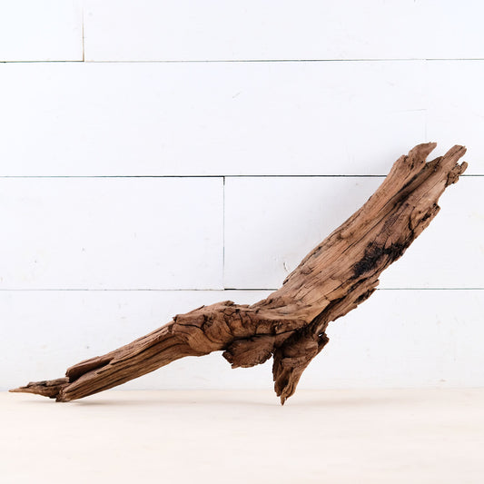 Manzanita 24" Driftwood Root, Rugged Aquarium Wood, Natural Fish Tank Decor, Shrimp Tank Enrichment, Reptile Perch