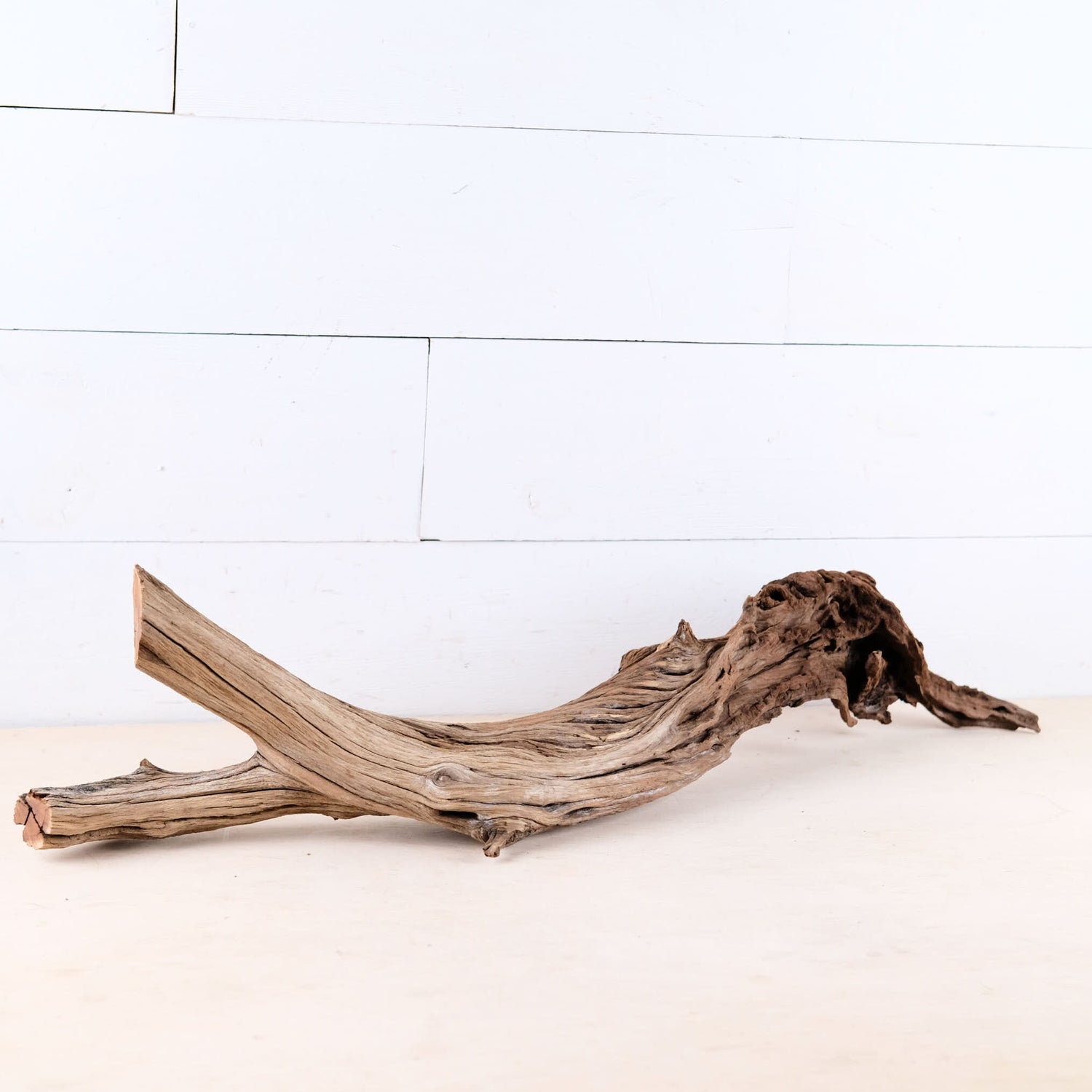 Manzanita 29" Driftwood Root, Rugged Aquarium Wood, Natural Fish Tank Decor, Shrimp Tank Enrichment, Reptile Perch