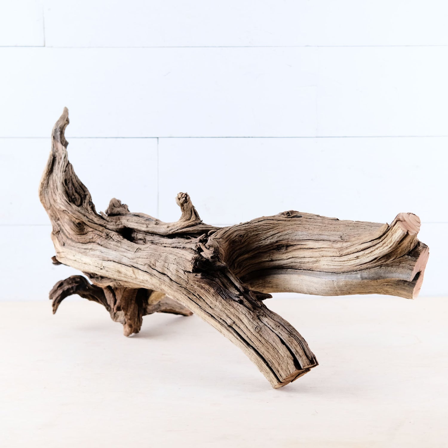 Manzanita 22" Driftwood Branch, Aquarium Aqquascape Trunk, Reptile Terrarium Wood, Large Fish Tank Root Wood