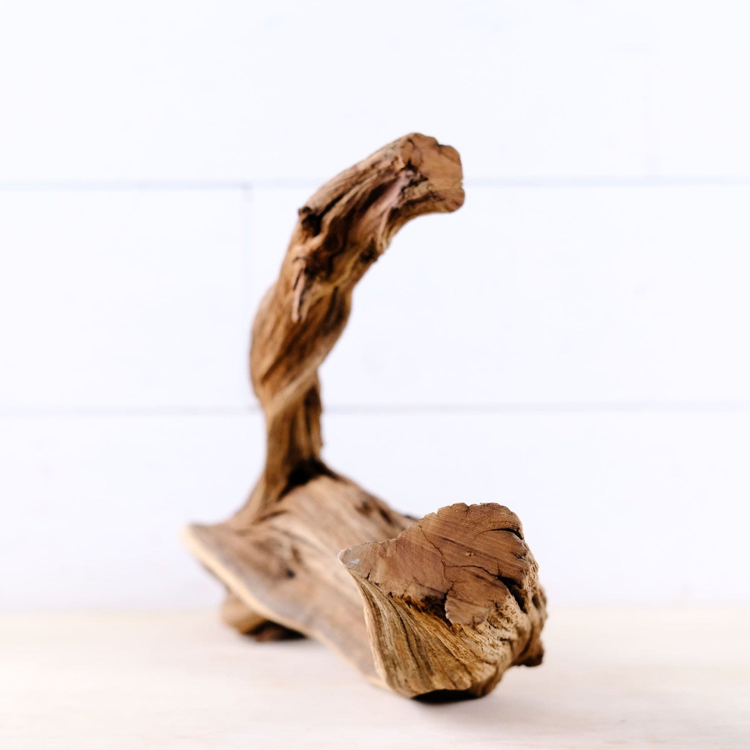 Manzanita 21" Driftwood Branch, Reptile Wood, Aquarium Centerpiece, Terrarium Wood Climb, Decor Branch