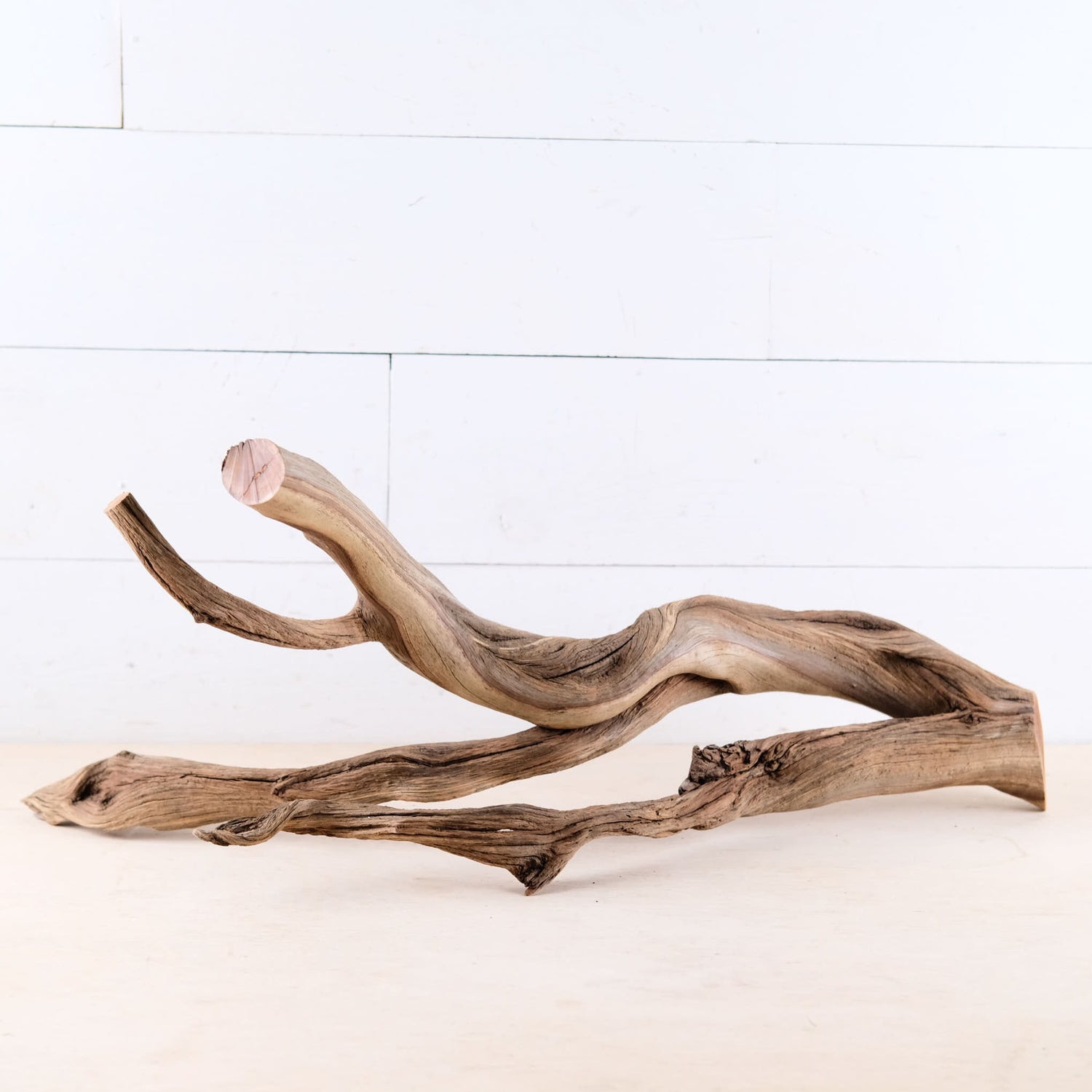 Manzanita 25" Branch, Large Aquascape Driftwood, Aquarium Wood Centerpiece, Natural Fish Tank Decor, Reptile Vivarium Branch