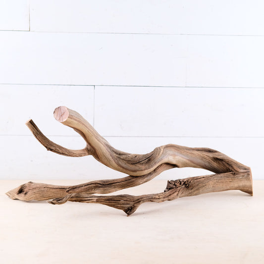 Manzanita 25" Branch, Large Aquascape Driftwood, Aquarium Wood Centerpiece, Natural Fish Tank Decor, Reptile Vivarium Branch