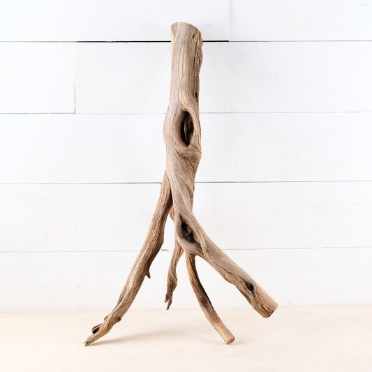Manzanita 25" Branch, Large Aquascape Driftwood, Aquarium Wood Centerpiece, Natural Fish Tank Decor, Reptile Vivarium Branch