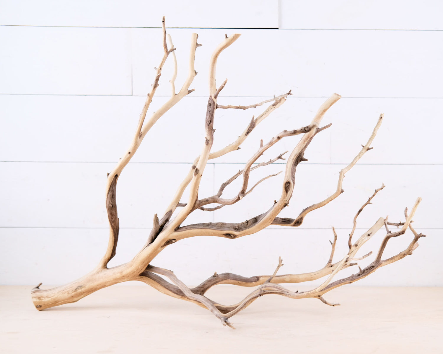 Manzanita 28" Branch, Large Aquarium Driftwood, Aquascape Centerpiece, Natural Fish Tank Decor, Reptile Terrarium Climb, Chandelier Branch
