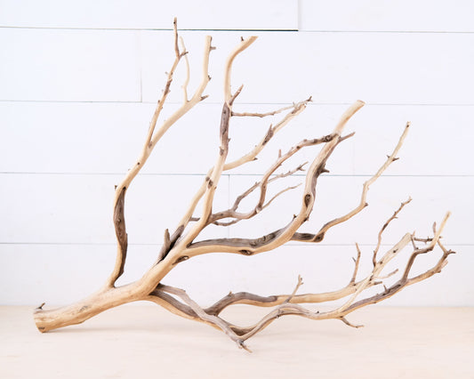 Manzanita 28" Branch, Large Aquarium Driftwood, Aquascape Centerpiece, Natural Fish Tank Decor, Reptile Terrarium Climb, Chandelier Branch