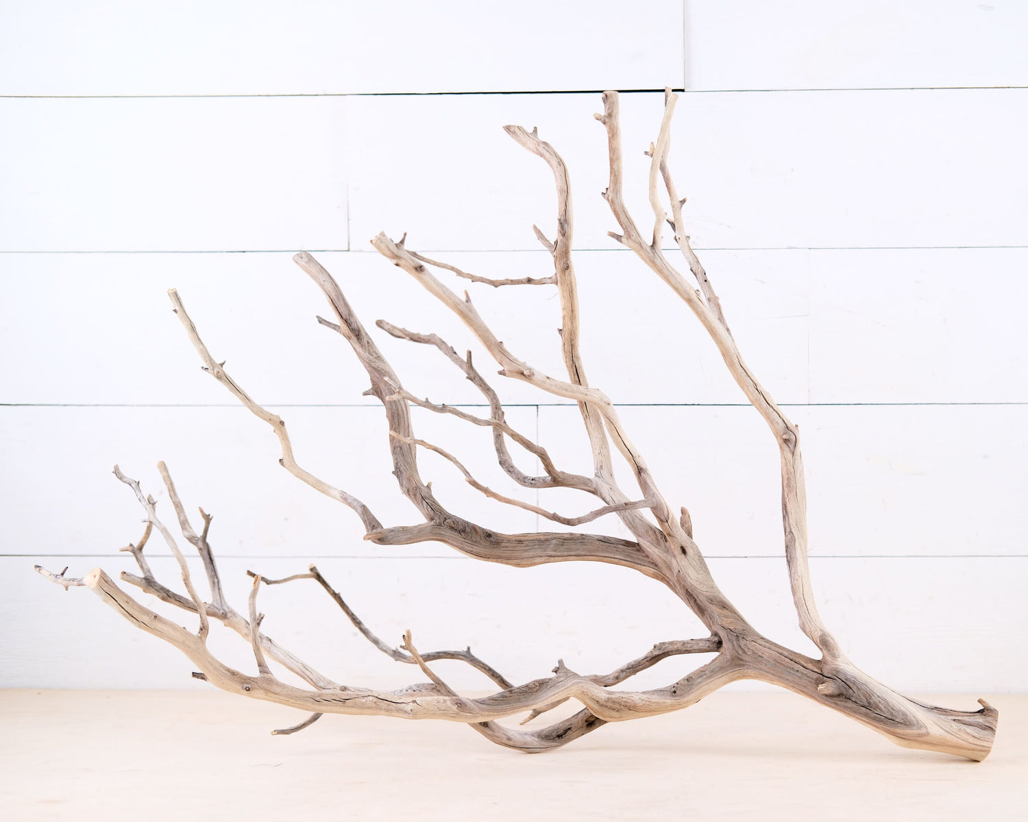 Manzanita 28" Branch, Large Aquarium Driftwood, Aquascape Centerpiece, Natural Fish Tank Decor, Reptile Terrarium Climb, Chandelier Branch