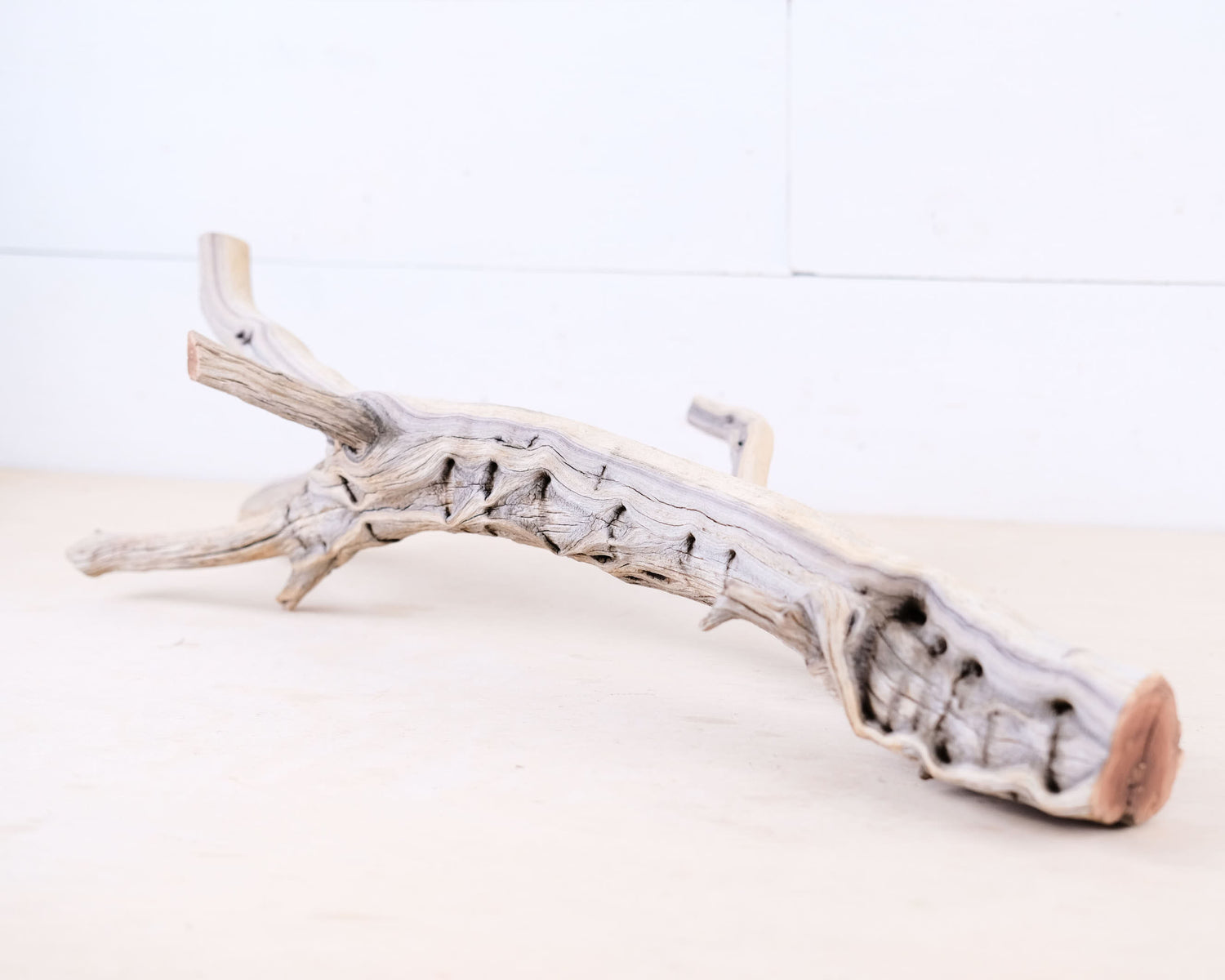 Manzanita 21" Driftwood Branch, Aquarium Aquascape Decor, Natural Fish Tank Wood, Reptile Terrarium Climb, Vivarium Perch