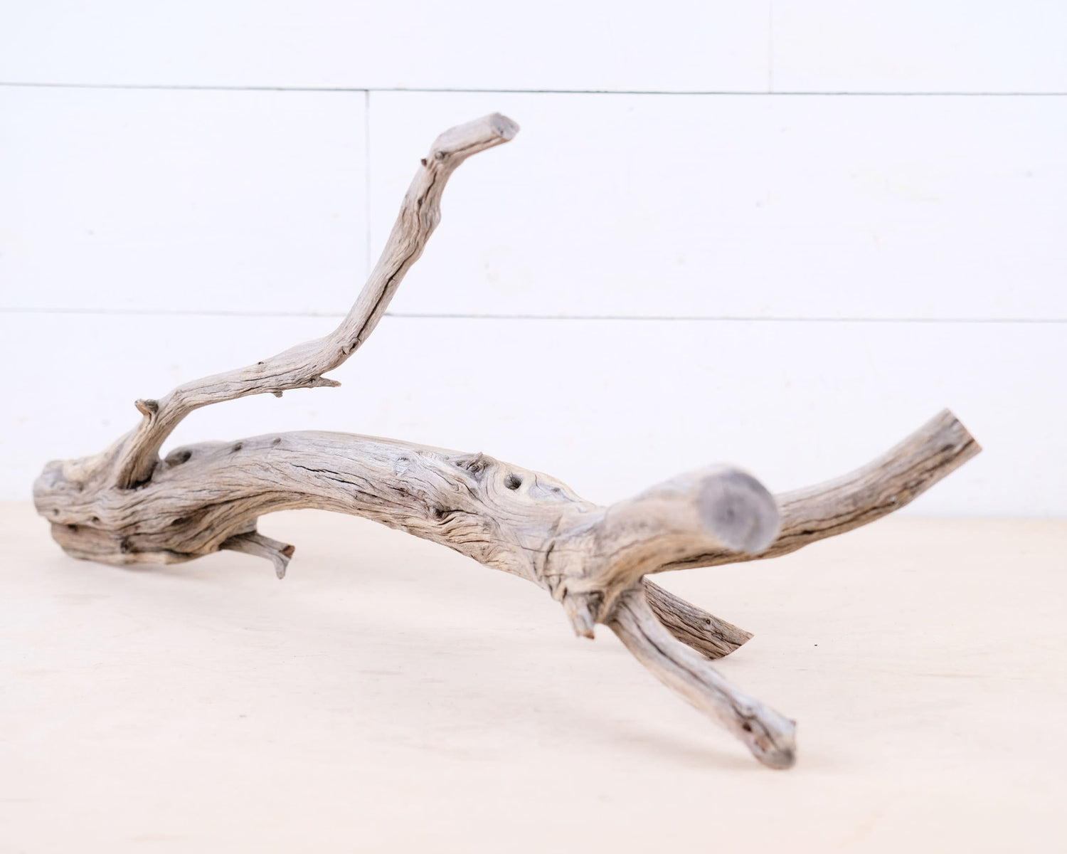 Manzanita 21" Driftwood Branch, Aquarium Aquascape Decor, Natural Fish Tank Wood, Reptile Terrarium Climb, Vivarium Perch