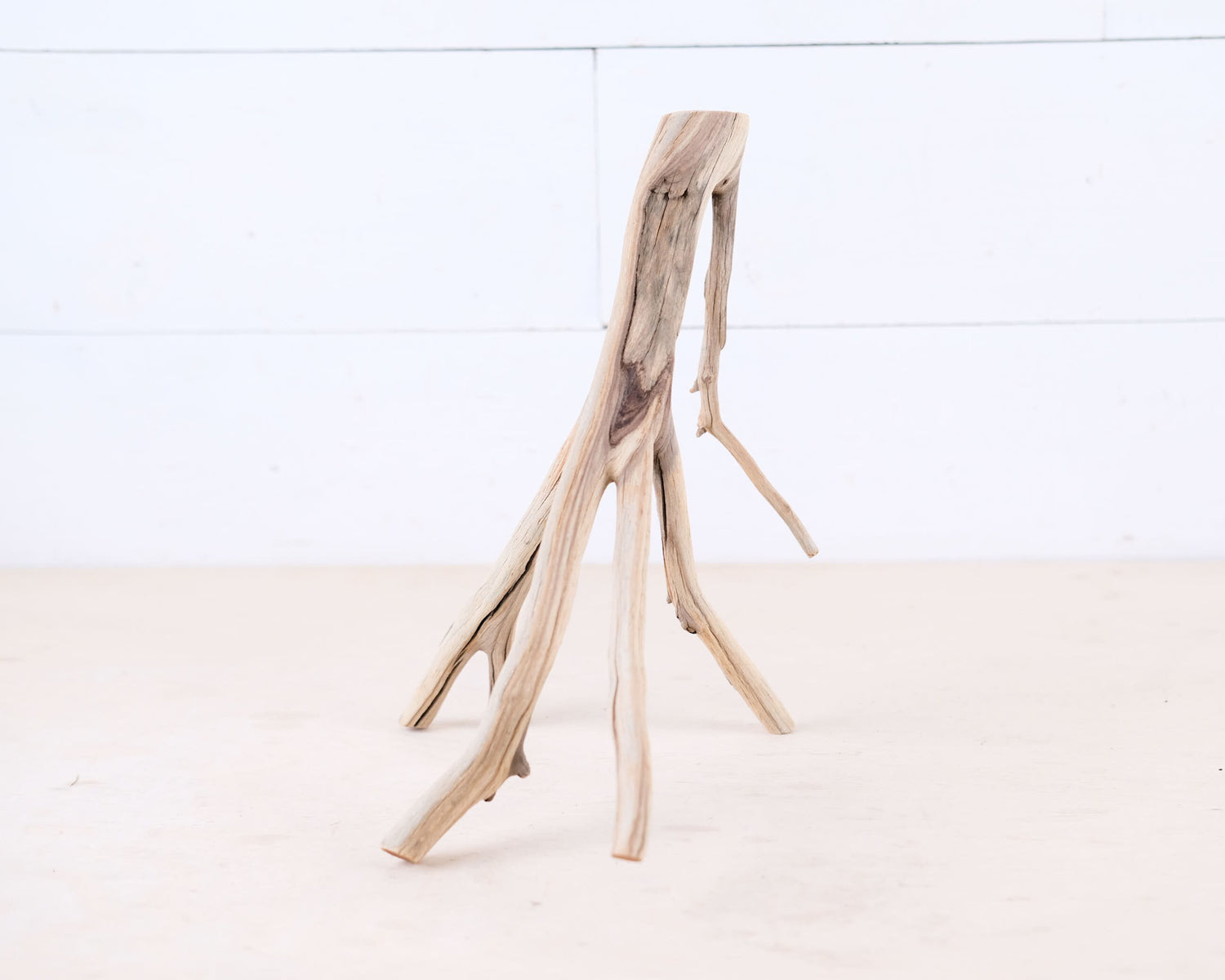 Manzanita 10" Driftwood Branch, Natural Aquarium Wood, Small Aquascape Branch, Nano Fish Tank Decor
