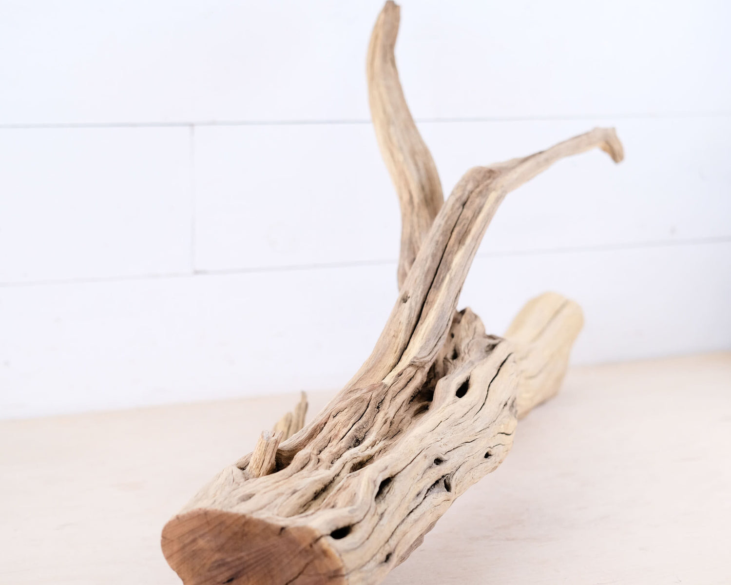 Manzanita 29" Driftwood Branch, Large Reptile Perch, Aquarium Centerpiece Log, Terrarium Wood Climb