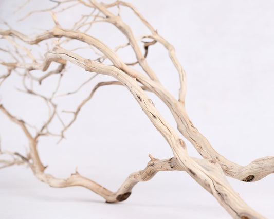 Manzanita 48" Branch, Large Aquarium Driftwood, Aquascape Centerpiece, Natural Fish Tank Decor, Natural Decor Branch