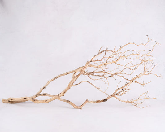 Manzanita 48" Branch, Large Aquarium Driftwood, Aquascape Centerpiece, Natural Fish Tank Decor, Natural Decor Branch