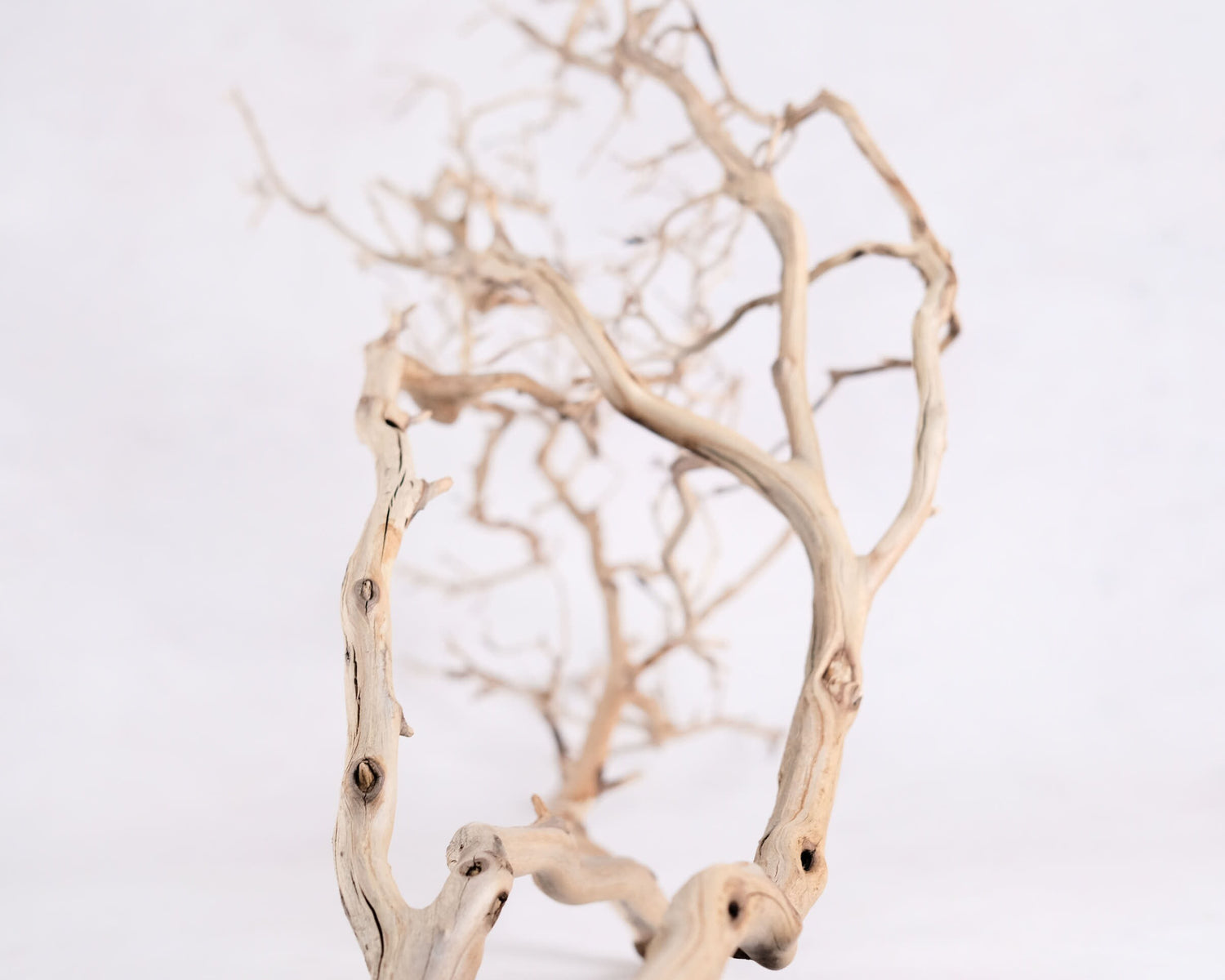 Manzanita 48" Branch, Large Aquarium Driftwood, Aquascape Centerpiece, Natural Fish Tank Decor, Natural Decor Branch