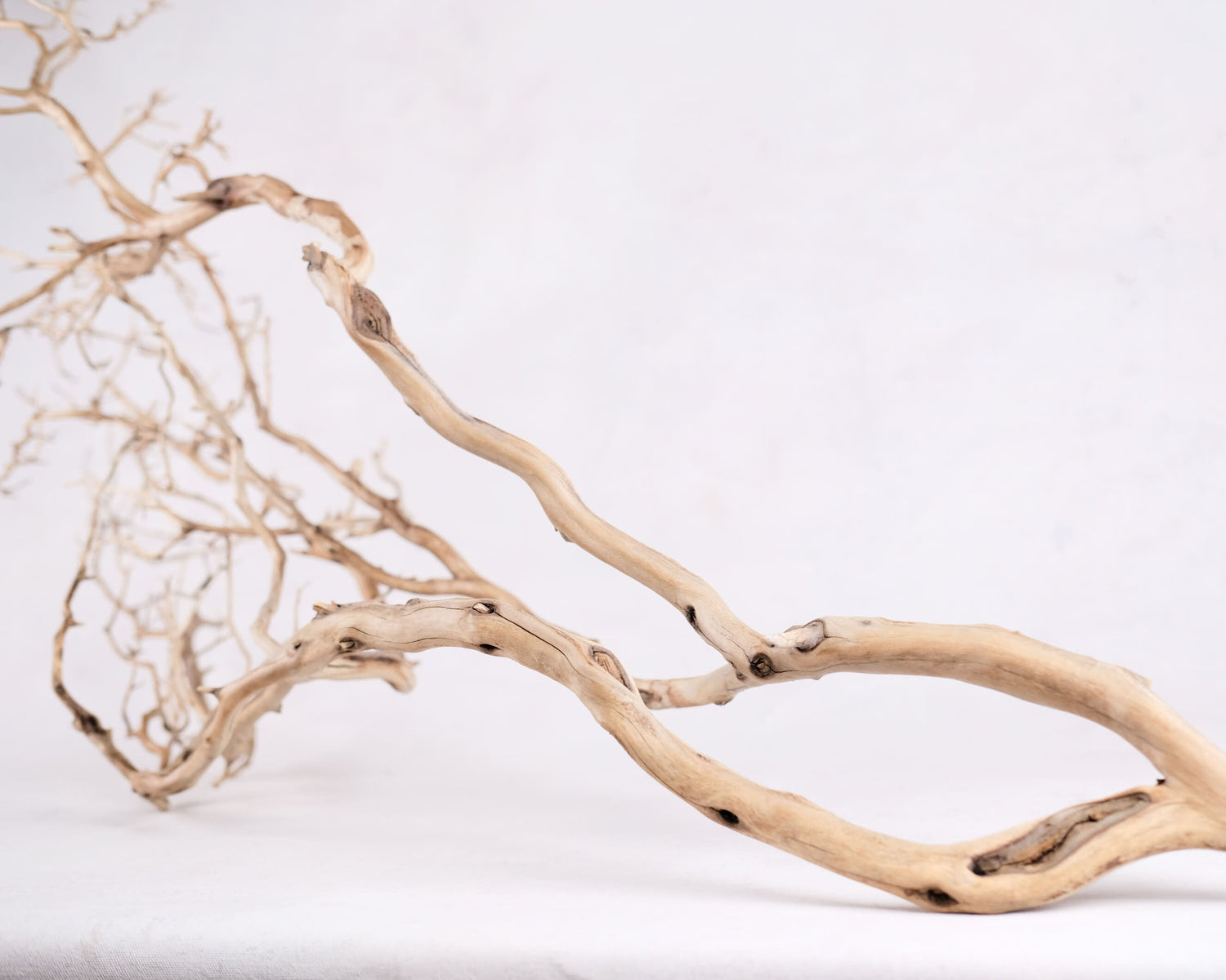 Manzanita 48" Branch, Large Aquarium Driftwood, Aquascape Centerpiece, Natural Fish Tank Decor, Natural Decor Branch