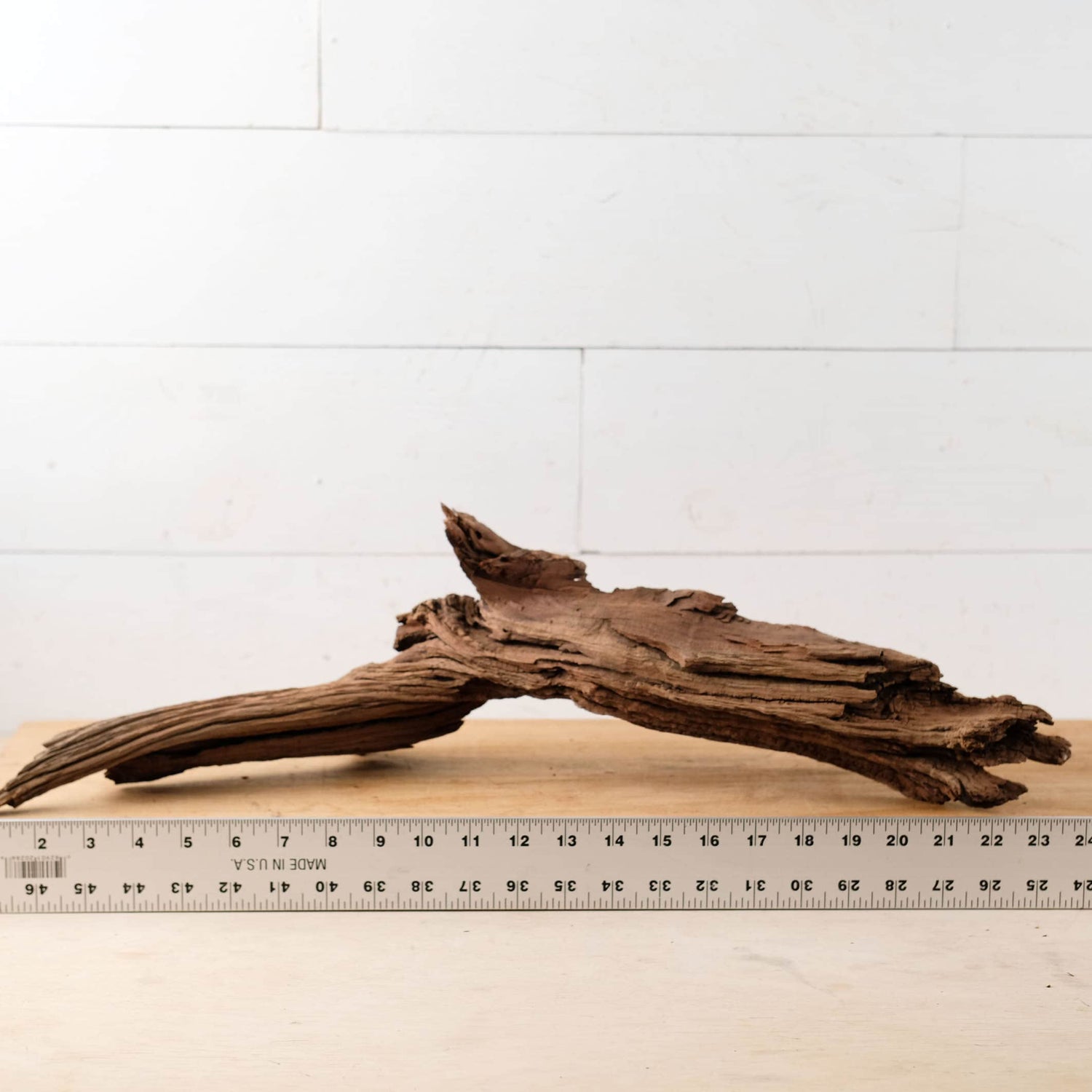 Manzanita 24" Driftwood Root, Rugged Aquarium Wood, Natural Fish Tank Decor, Shrimp Tank Enrichment, Reptile Perch