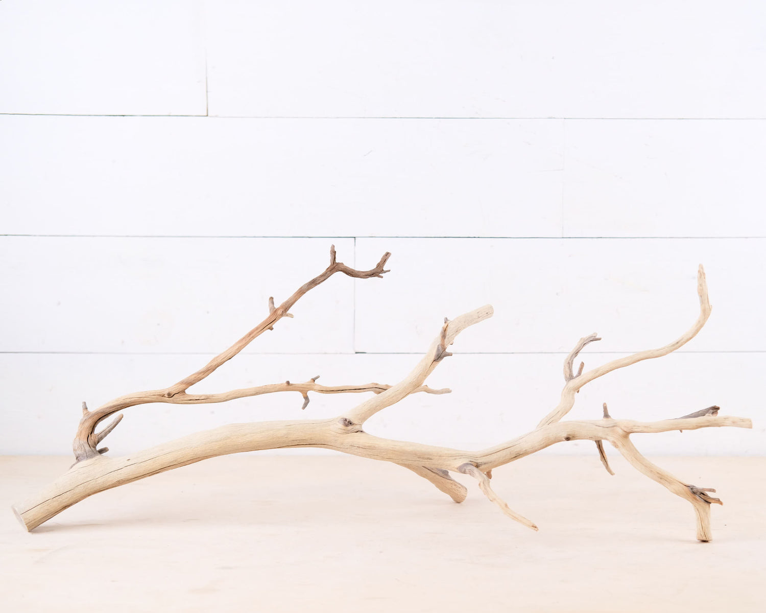 Manzanita 27" Branch, Aquarium Driftwood, Aquascape Centerpiece, Reptile Terrarium Climb, Gecko Perch, Tree Frog Branch