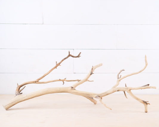 Manzanita 27" Branch, Aquarium Driftwood, Aquascape Centerpiece, Reptile Terrarium Climb, Gecko Perch, Tree Frog Branch