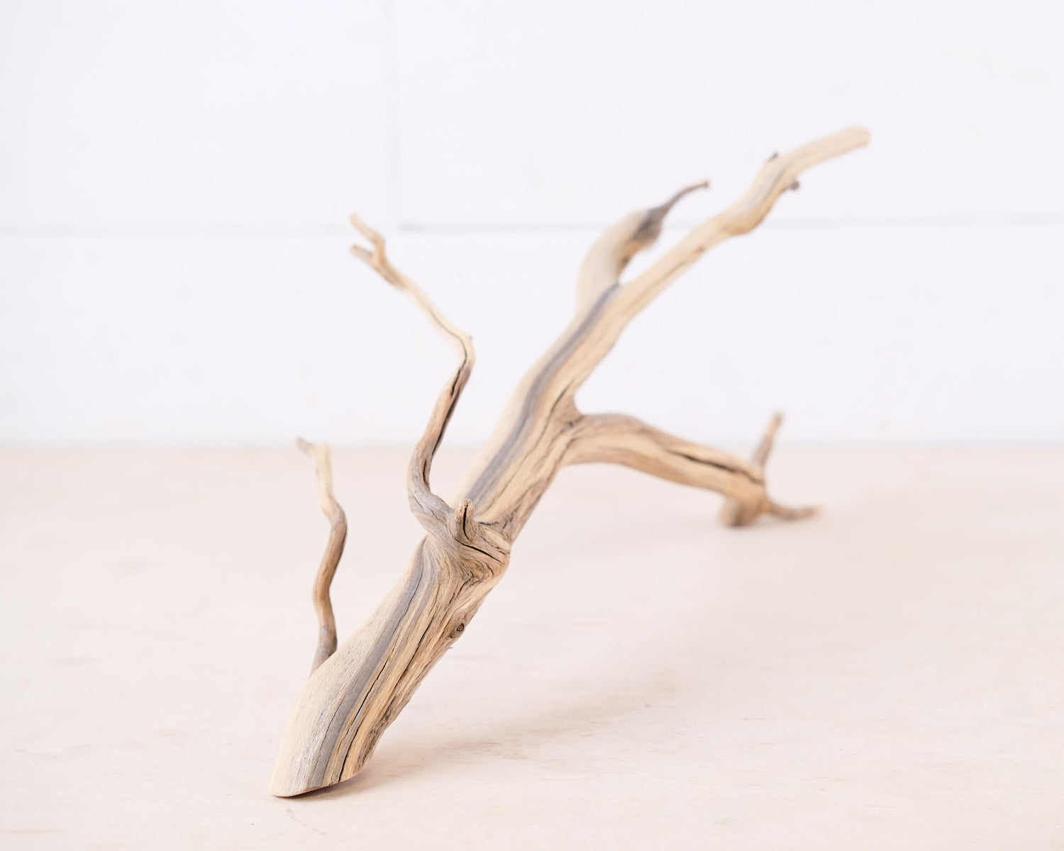 Manzanita 17" Branch, Aquascape Driftwood, Aquarium Wood Centerpiece, Natural Fish Tank Decor