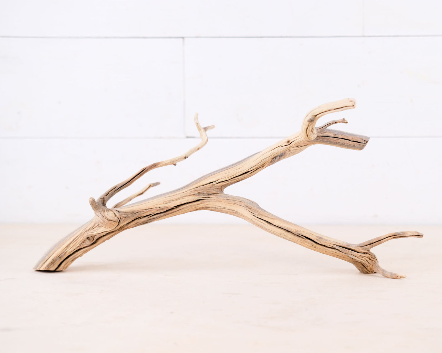 Manzanita 17" Branch, Aquascape Driftwood, Aquarium Wood Centerpiece, Natural Fish Tank Decor