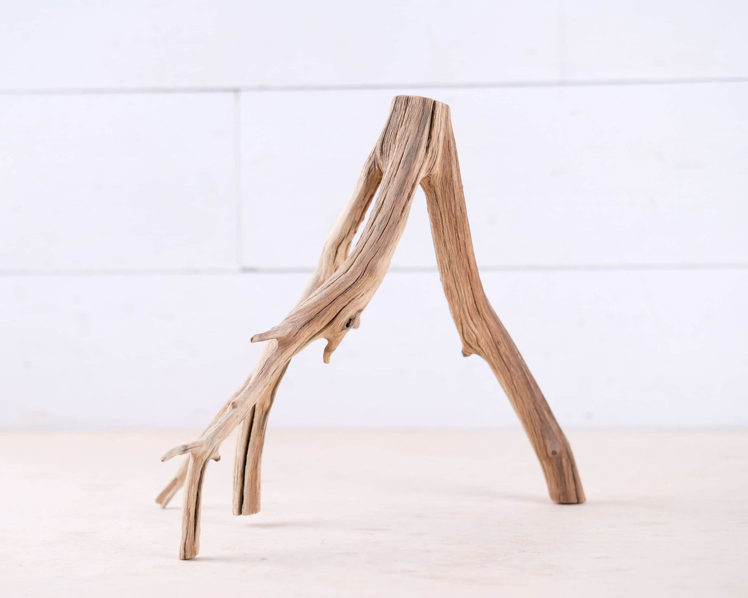 Manzanita 10" Branch, Small Aquascape Driftwood, Nano Aquarium Wood, Nanoscape Tank Decor, Real Fish Tank Wood
