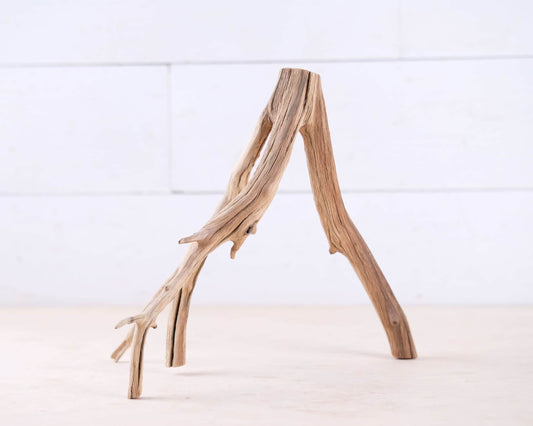 Manzanita 10" Branch, Small Aquascape Driftwood, Nano Aquarium Wood, Nanoscape Tank Decor, Real Fish Tank Wood