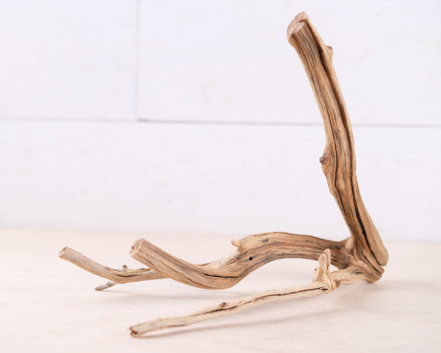 Manzanita 10" Branch, Small Aquascape Driftwood, Nano Aquarium Wood, Nanoscape Tank Decor, Real Fish Tank Wood