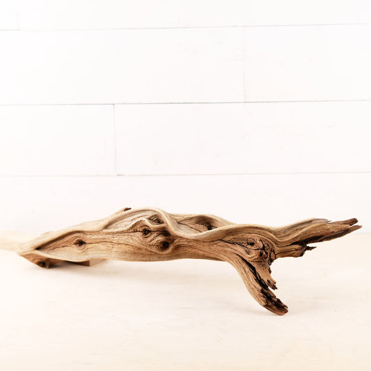Manzanita 24" Driftwood, Rugged Aquarium Wood, Natural Fish Tank Decor, Shrimp Tank Enrichment