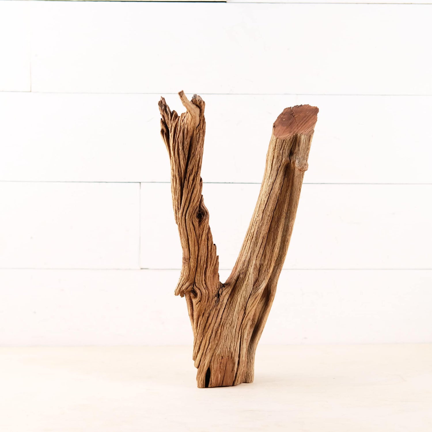 Manzanita 16" Driftwood Branch, Reptile Wood, Aquarium Centerpiece, Terrarium Wood Climb, Decor Branch