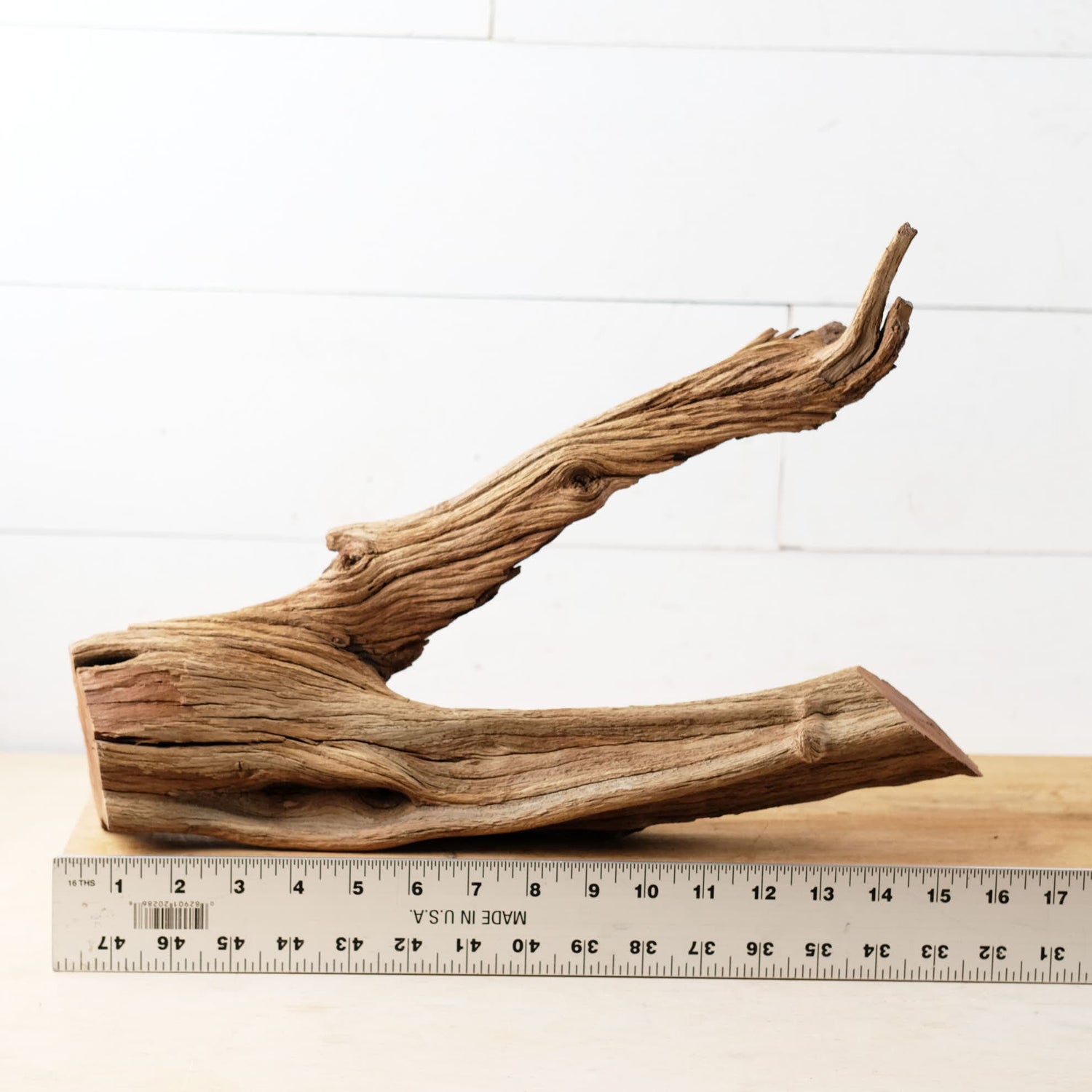 Manzanita 16" Driftwood Branch, Reptile Wood, Aquarium Centerpiece, Terrarium Wood Climb, Decor Branch