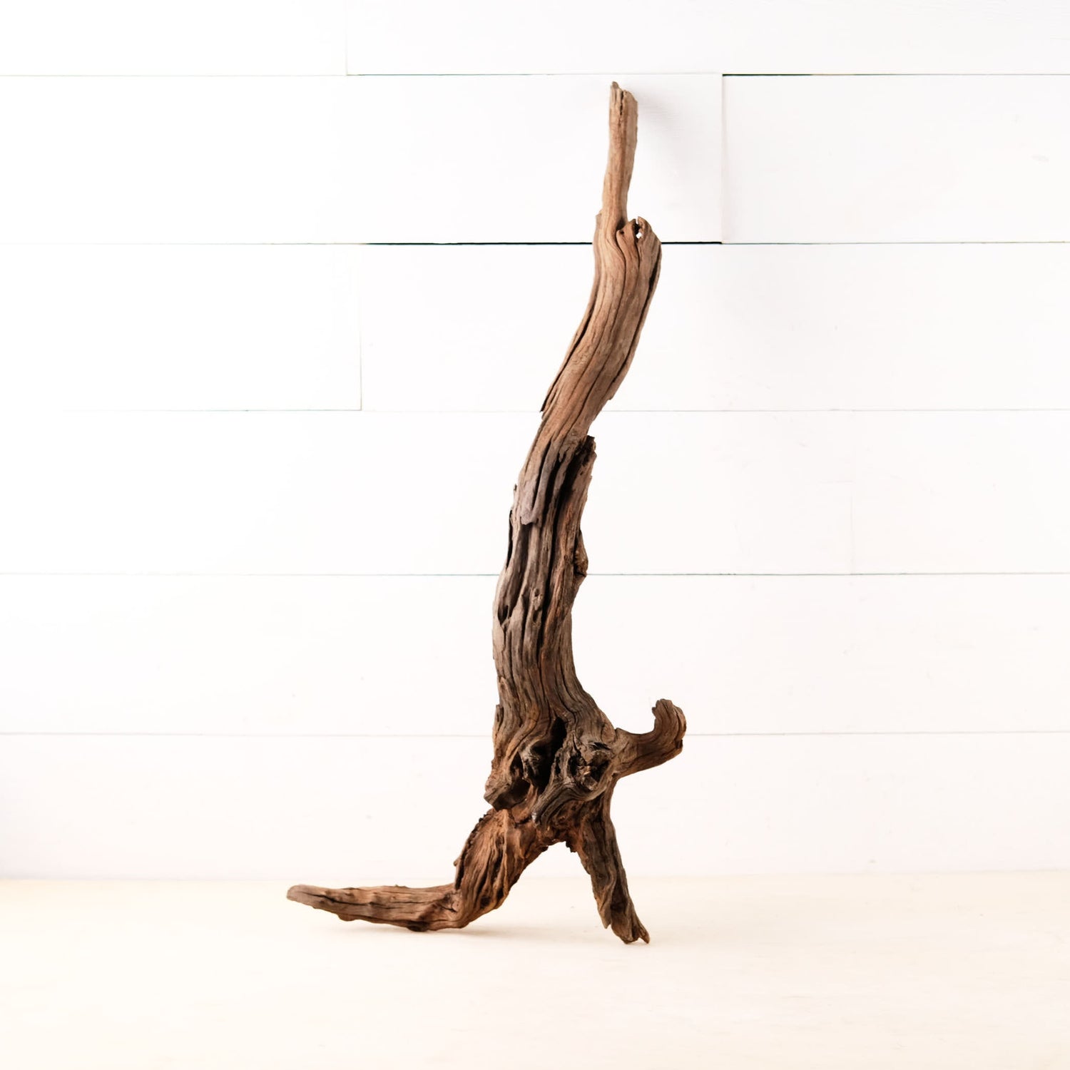 Manzanita 28" Driftwood Root, Rugged Aquarium Wood, Natural Fish Tank Decor, Shrimp Tank Enrichment, Reptile Perch