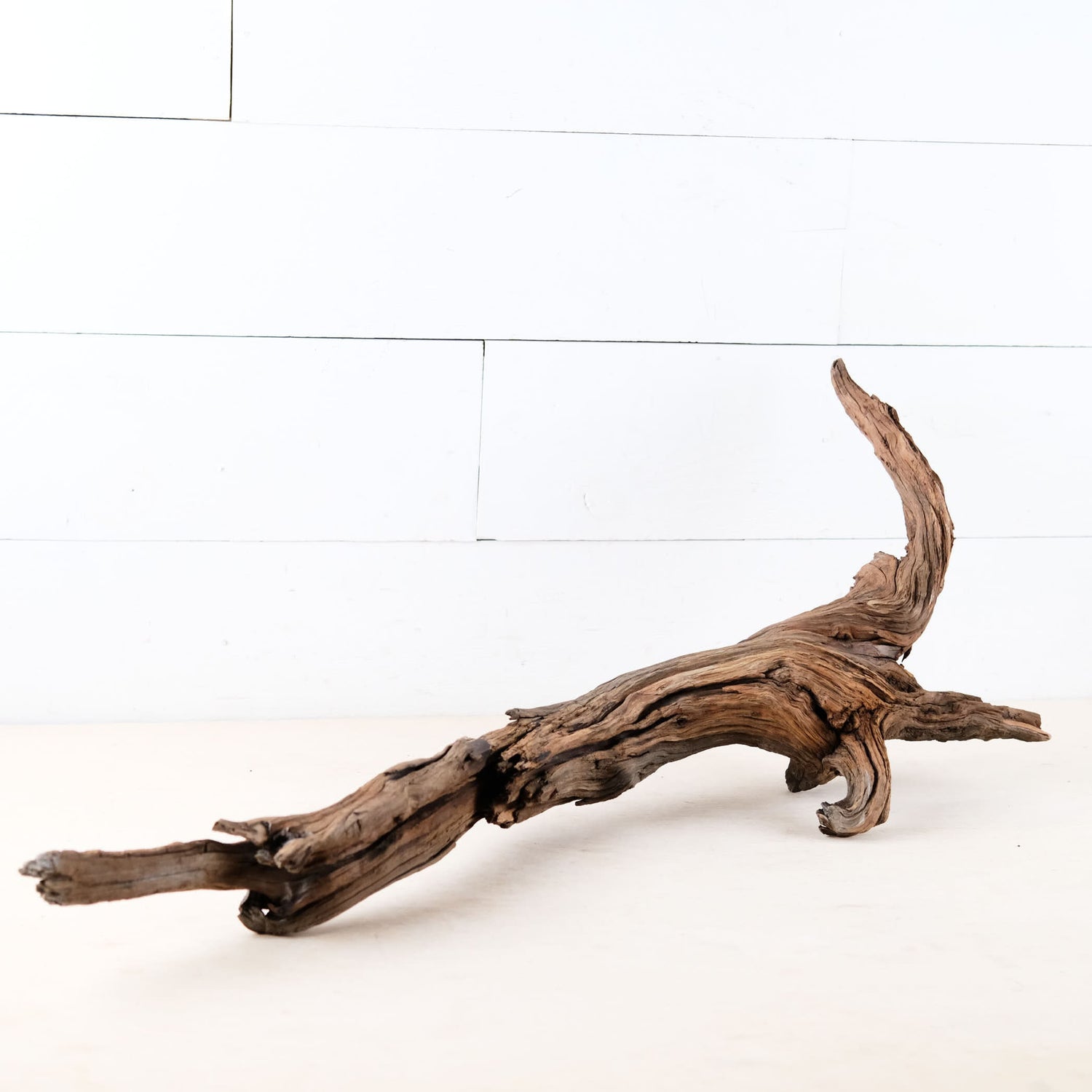 Manzanita 28" Driftwood Root, Rugged Aquarium Wood, Natural Fish Tank Decor, Shrimp Tank Enrichment, Reptile Perch