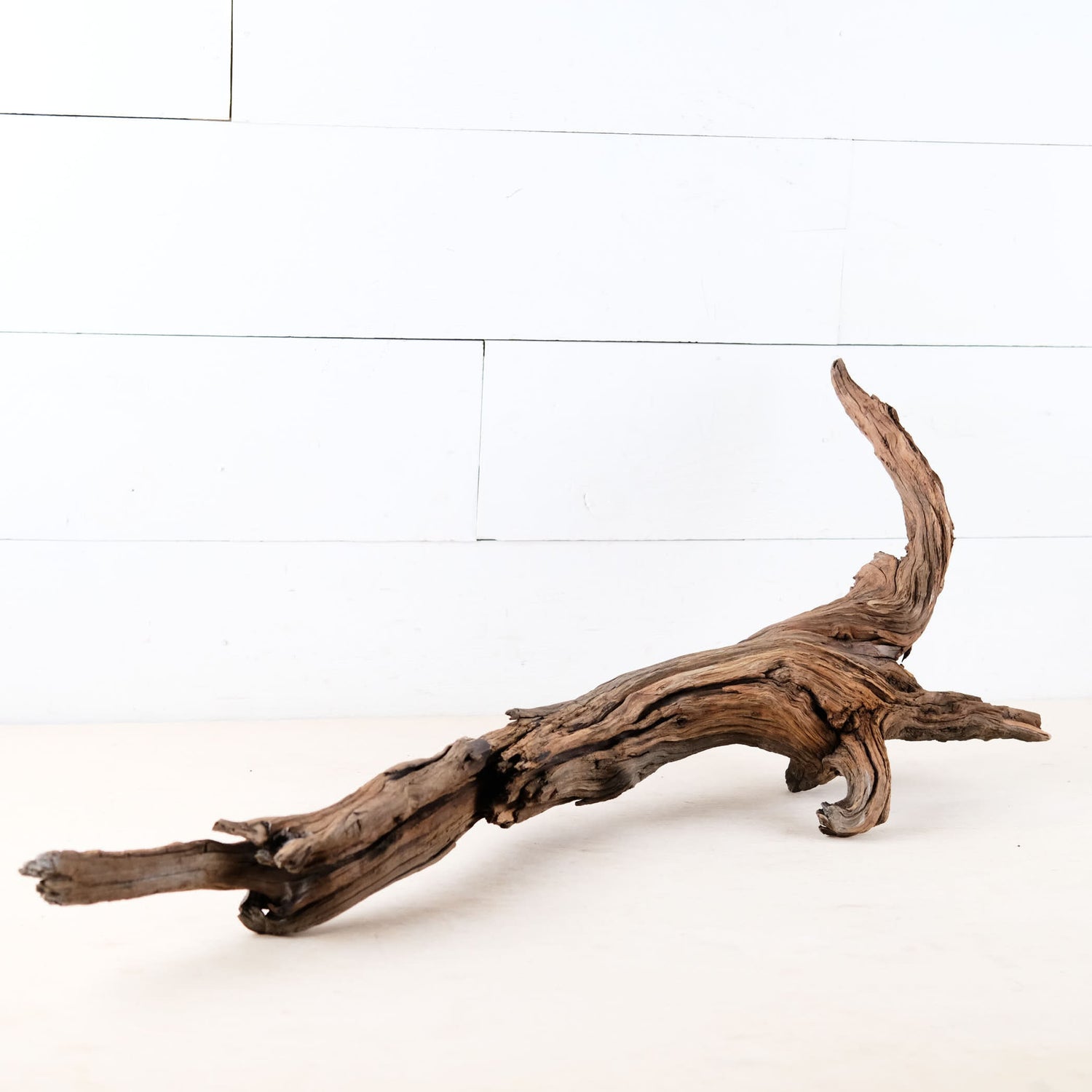 Root like Manzanita Branch Driftwood (2 pc set) Driftwood Art High-Qua –  theidealconditions