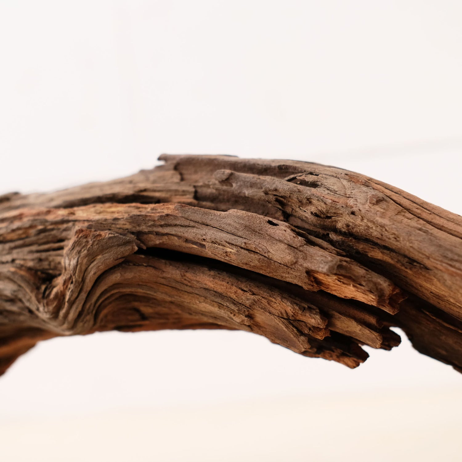 Manzanita 28" Driftwood Root, Rugged Aquarium Wood, Natural Fish Tank Decor, Shrimp Tank Enrichment, Reptile Perch