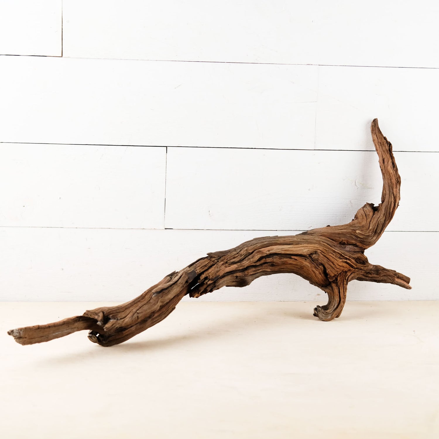 Manzanita 28" Driftwood Root, Rugged Aquarium Wood, Natural Fish Tank Decor, Shrimp Tank Enrichment, Reptile Perch