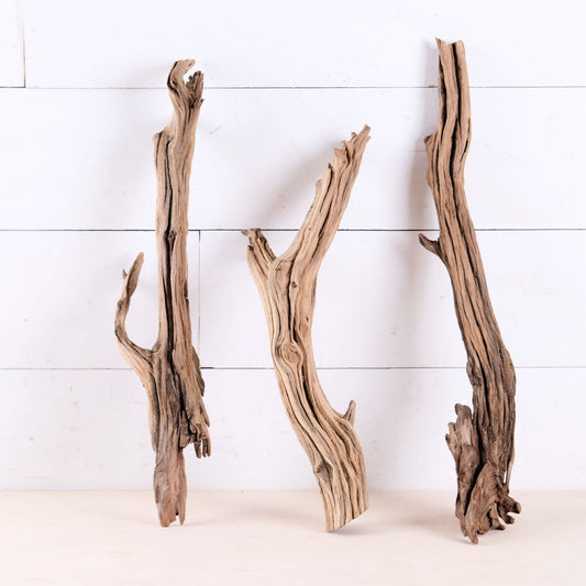 Manzanita 15-19" Driftwood Roots (Set of 3), Real Aquarium Wood, Rugged Aquascape Decor, Weathered Manzanita Chunks, Fish Tank Decor
