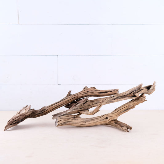 Manzanita 15-19" Driftwood Roots (Set of 3), Real Aquarium Wood, Rugged Aquascape Decor, Weathered Manzanita Chunks, Fish Tank Decor