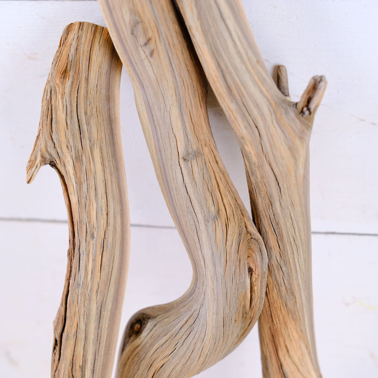 Manzanita 13-20" Driftwood (Set of 3), Terrarium Branches, Reptile Vivarium Wood, Sturdy Craft Sticks