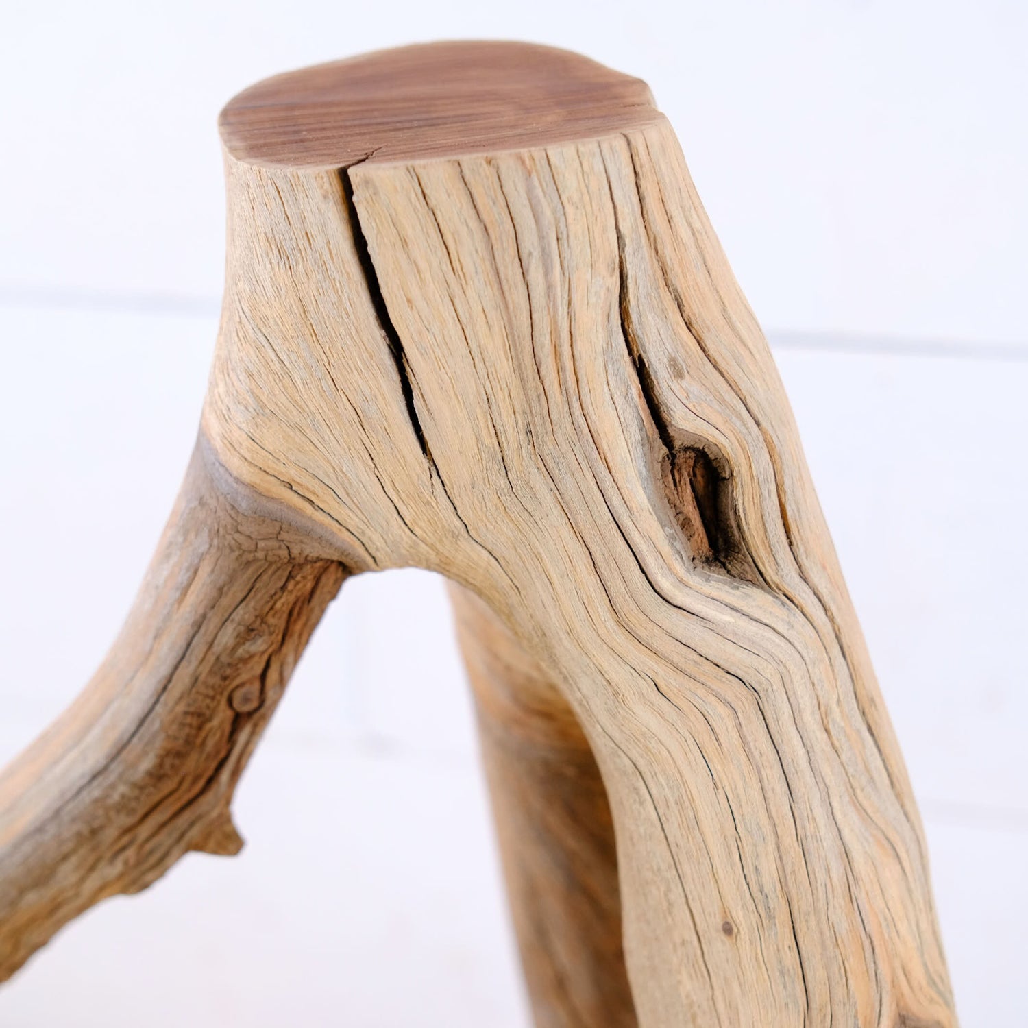 Manzanita 15" Driftwood Branch, Small Aquarium Aquascape Decor, Natural Fish Tank Wood, Nanoscape Branch