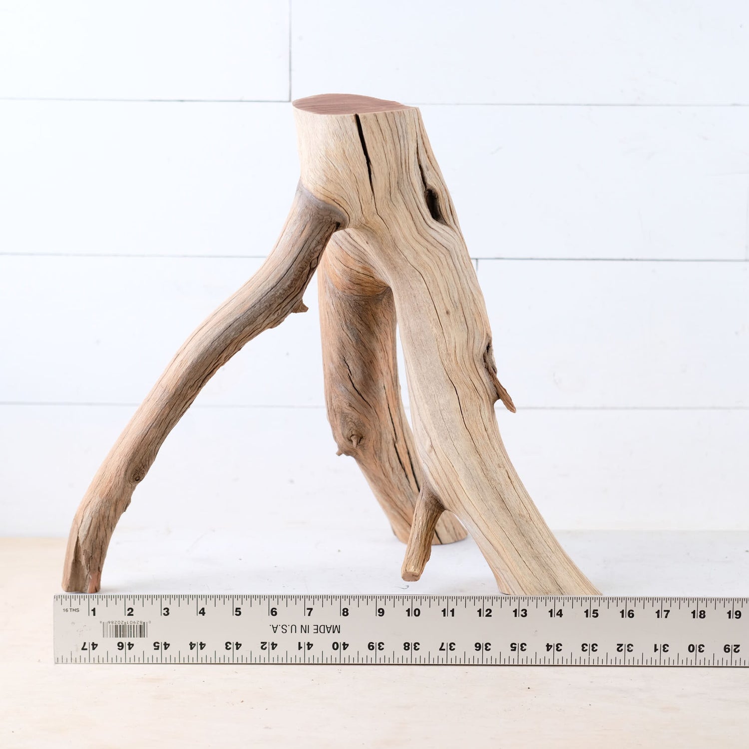 Manzanita 15" Driftwood Branch, Small Aquarium Aquascape Decor, Natural Fish Tank Wood, Nanoscape Branch